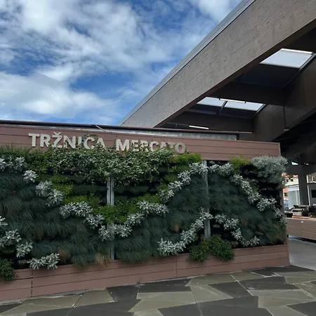 Apartman Belaj Seaside - Sea View Umag